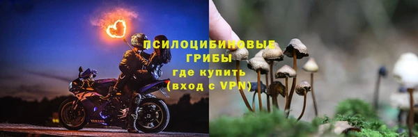 гидропоника Белоозёрский