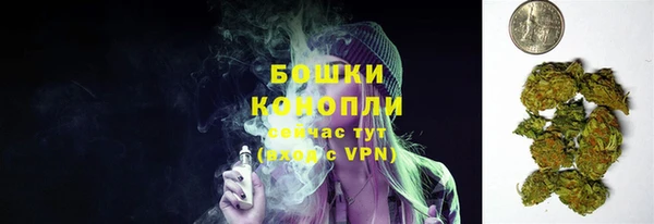 прущий лед Белокуриха