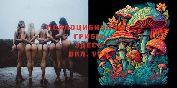 меф Осташков