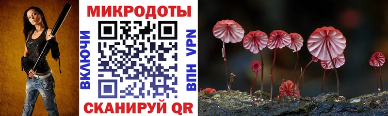 Псилоцибиновые грибы GOLDEN TEACHER  blacksprut ТОР  Усть-Илимск 